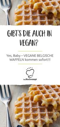 Megalecker und auch noch vegan: Alle werden die veganen belgischen Waffeln lieben! Mit Sojajoghurt sind die Waffeln herrlich fluffig. Durch Ahornsirup erhalten sie ein besonders würziges Aroma. #vegan #belgischewaffeln #veganewaffeln #eifrei #milchfrei