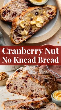 You'll be surprised how easy this crusty cranberry nut no knead bread is! Tastes unbelievable and takes practically zero effort. Just 7 simple ingredients for a loaf with a crispy crusty exterior, soft and chewy interior, and plenty of dried cranberries and nuts in every slice.