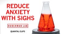 Reduce Anxiety & Stress with the Physiological Sigh | Huberman Lab Quantal Clip - YouTube