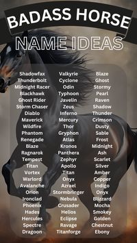 Imagine the awe-inspiring presence your equine companion will have as you confidently call out their badass name!  Not only will a badass name make your horse stand out, but it will also reflect their true character. Each name on our list has been carefully selected to capture the essence of bravery, power, and determination.  Whether you’re looking for a name that reflects their strength, speed, or fearless nature, we’ve got you covered.