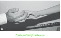 The Central Nervous System Pediatric Clinical Methods Notes - Anatomy Study Guide