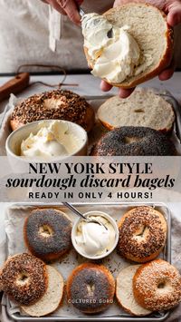 Make these absolutely delicious sourdough discard bagels in just 4 hours! This recipe for homemade sourdough bagels is great for sourdough beginners and includes an optional overnight ferment for better digestibility. This recipe works with active, bubbly sourdough starter or discard. #sourdough #bagels