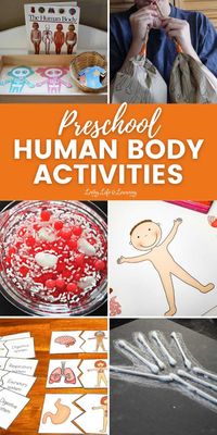 Need to learn about the human body? Try one of these Preschool human body activities that are guaranteed to get your child interested in learning about their own bodies and what it does. #preschool #humanbody #science #preschoolscience #biology #LivingLifeandLearning