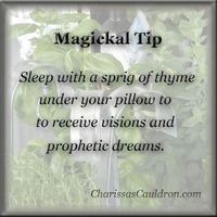 Magickal Tip of the Day – Sprig of Thyme | Witches Of The Craft®