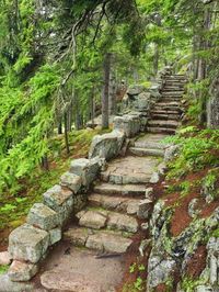 'A Stone Staircase at the Thuya Gardens in Northeast Harbor, Maine, Usa' Photographic Print - Jerry & Marcy Monkman | Art.com