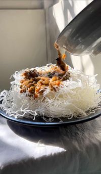 Crispy Vermicelli Noodles with Special Sauce - The Foodie Takes Flight