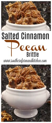 Crunchy, salty, cinnamony Pecan Brittle... click for easy recipe!