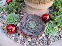 3 tier concrete bird bath with succulents - Google Search