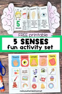 Need quick and easy science activities for kids? This FREE printable set helps you learn about the five senses. Make a 5 senses foldable. Enjoy a five senses sorting activity. Learn more and get your free pack today! #fivesenses #scienceforkids #freeprintables