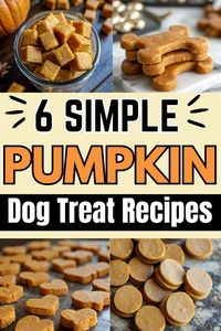 Delight your dog with our 6 easy homemade pumpkin dog treat recipes, including tasty mixes like pumpkin with peanut butter, oatmeal, and yogurt. These dog treats with pumpkin are perfect for making healthy and delicious snacks that promote good health and energy. Have fun creating these nutritious pumpkin dog treats for your furry friend and watch them relish every mouthful, all while giving them a boost of essential nutrients.