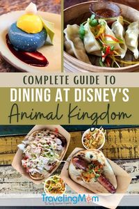 Disney's Animal Kingdom at Walt Disney World boasts some of the most unique and creative full service and quick service meals at any amusement park! African-themed dining and dishes that will please everyone with flavors that are far from the usual theme park fare. This complete guide to restaurants at Animal Kingdom will help you budget, walk you through advance dining reservations, ordering cocktails and suggests what to order at each location. (Photo credits: Tami Mittan & Melody Pittman)