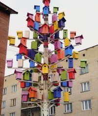 bird houses