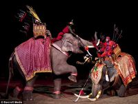 The re-enactment is said to be helping to re-establish the mahout's position in Thai society