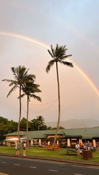 Rainbow and sunset, Hanalei, Kaua’i, Hawaii, USA (made by Mirjam Iske) 04-08-2024 #kauai #hawaii #hanalei #sunset #hawaiianislands #rainbow #tropical #palms #palmtrees #island #travel #vacation #bucketlist #summer #aesthetic #inspiration