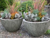 3 tier concrete bird bath with succulents - Google Search