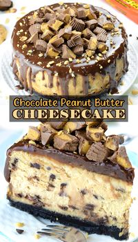 Indulge in the ultimate peanut butter lover’s dessert with this Reese’s Peanut Butter Cheesecake! Creamy peanut butter cheesecake topped with a rich chocolate ganache and loaded with Reese's pieces, this decadent treat is perfect for satisfying sweet cravings. Ideal for parties or as a special treat, this cheesecake is a must-try! #PeanutButterCheesecake #ReesesLovers #ChocolatePeanutButter #DecadentDessert #OMGChocolateDesserts