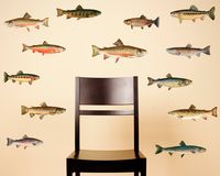 Trout Wall Decals Set of 13 Fish Stickers Great Gift for - Etsy