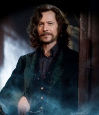 Sirius Black, one of my favourites next to Harry, Luna, Remus, James and Lily. My number one HP characters.