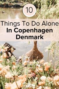 Immerse yourself in solo bliss in Copenhagen! 🇩🇰 Discover 10 amazing activities perfect for solo adventurers. From canal strolls to cultural gems, ready for a solo journey in the charming Danish capital? Read the full blog post now! ✈️ #SoloTravel #CopenhagenAdventures #TravelAlone #ExploreSolo #Wanderlust #ShesCatchingFlights