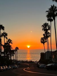 california, sunset, palm trees, cali, san diego, california travel, beach, ocean, la jolla, golden hour, sea, travel, west coast, Southern California, la jolla travel inspo, socal, san diego things to do, san diego inspo, la jolla cove