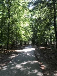 De Hoge Veluwe National Park: beautiful nature and art - KarsTravels