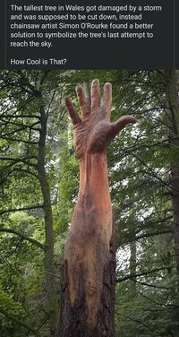 The tallest tree in Wales got damaged by a storm and was supposed to be cut down, instead chainsaw artist Simon O'Rourke found a better solution to symbolize the tree's last attempt to reach the sky. How Cool is That? – popular memes on the site ifunny.co