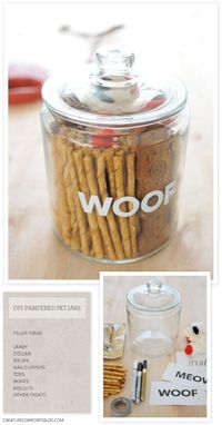 Fun and Easy DIY Pet Accessories