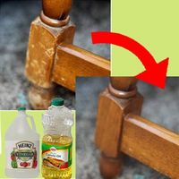 Be able to fix any wood problems in your home with these helpful hacks! 