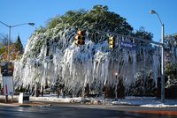 Toomer's Oaks in our hearts forever