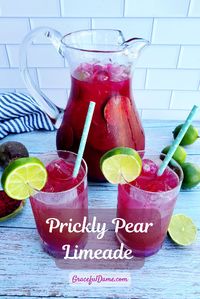 Prickly Pear Limeade is a refreshing and vibrant drink that really captures the essence of the desert with its unique flavor profile. Whether you're hosting a gathering, lounging by the pool, or simply looking to quench your thirst on a spicy-hot day, this limeade is fantastic!