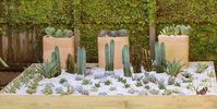 3 tier concrete bird bath with succulents - Google Search