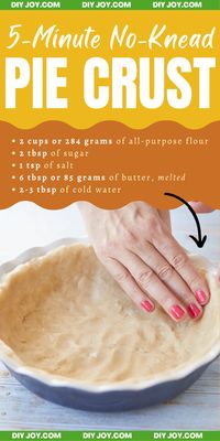 Easy No-Knead 5-Minute Pie Crust Recipe