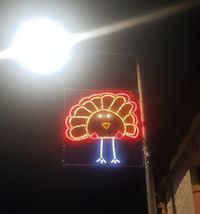 A small town in Fife entrusts its primary school children to design its festive Christmas lights