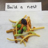 Today's snack we ate a bird's nest and eggs. Here are the materials we used to build the nest.  pretzels  chow mein noodles  shredded carrot...