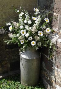 Milk churn brimming with pretty daisy flowers. www.thelilylocket.co.uk