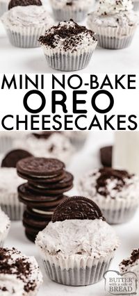 NO BAKE MINI OREO CHEESECAKES - Butter with a Side of Bread