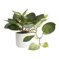 Faux Pothos Plant in White Ceramic Pot - World Market