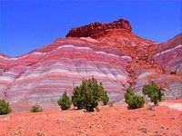 Painted Desert Arizona | Painted Desert. None of these photos give the desert any justice there's nothing like it in this world...