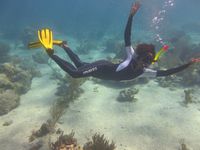 Black in Marine Science on Instagram: “Dr. Ayana Elizabeth Johnson (@ayanaeliza) is a marine biologist and ocean policy superstar. Her research focused on understanding multi-…”