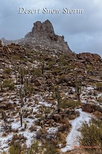 Snow storm on 1/26/21 dusts the Pinnacle Peak hiking trail and mountain in North Scottsdale, AZ. See canvas prints at the link! #nature #desert #snowstorm #scottsdaleaz #arizonahiking