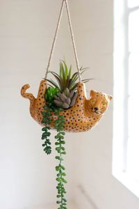 Ceramic Cheetah Hanging Planter. Hang out on the wild side with this cheetah hanging planter. This wildcat makes a great addition to a safari-themed space or a neutral nook that needs some rawr. Fill with your favorite succulents and enjoy year-round. Matching pieces sold separately. Fully assembled. Manufacturer: Kalalou.