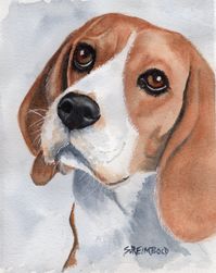 Beagle Dog Watercolor Painting, Beagle Portrait, Original Watercolor by Sue Reimbold.  Painting measures approximately 5 x 7 inches and is matted, ready to slip into a standard 8 x 10 inch frame. FREE SHIPPING!