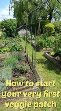 How to Start a Veggie Patch for the First Time • Craft Invaders