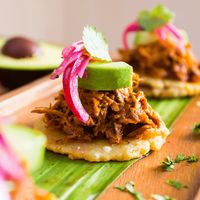 Easy Pork Carnitas Recipe