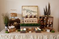 Boy's Dinosaur Birthday Party Theme