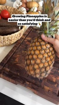 Check out how to grow Pineapples at home