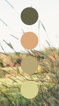 Here is a color palette to help you decide on your field wedding colors. | Wedding color schemes | Wedding theme | Wedding theme ideas | Wedding colors | Wedding color inspiration | Wedding color ideas | Fall wedding color ideas | Fall wedding color palette ideas