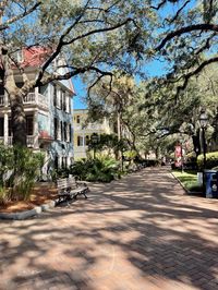 College of Charleston campus, Charleston SC