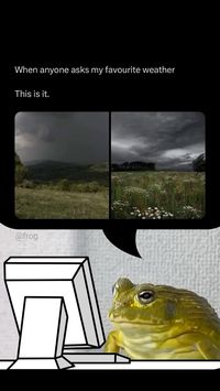 | @frog has a thought 🐸 | Instagram