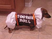 Tootsie roll